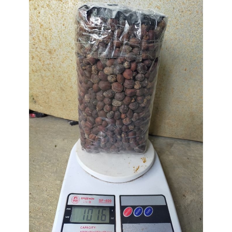 

Kopi Glondong/Kopi Kering/Robusta Muria 1 Kg Original