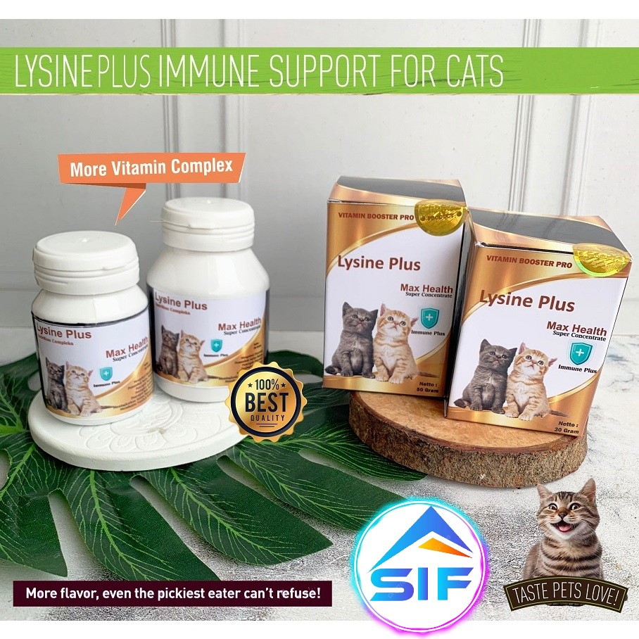 Vitamin Kucing Agar Gemuk Bulu Lebat Tidak Rontok Penambah Nafsu Makan Obat Kucing Lysine Asam Amino