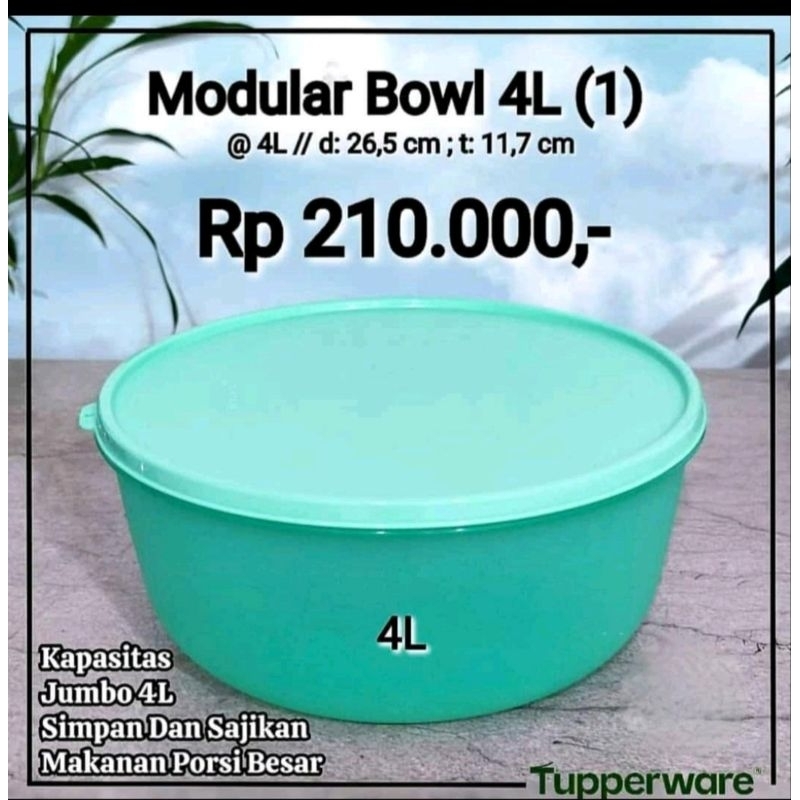 Jumbo Modular Bowl Tupperware