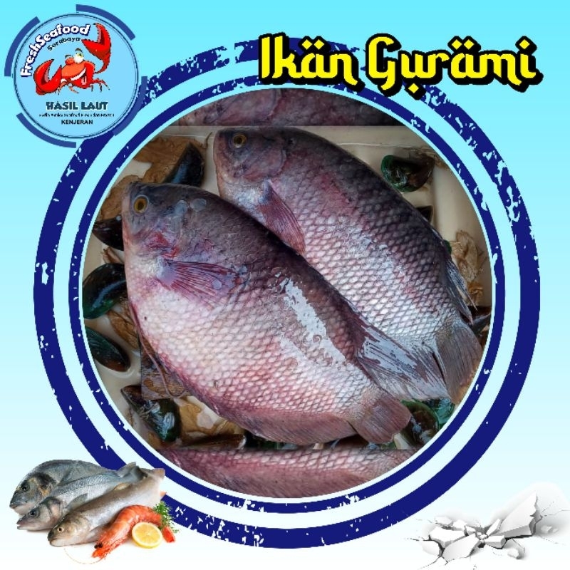 

GURAMI SEGAR