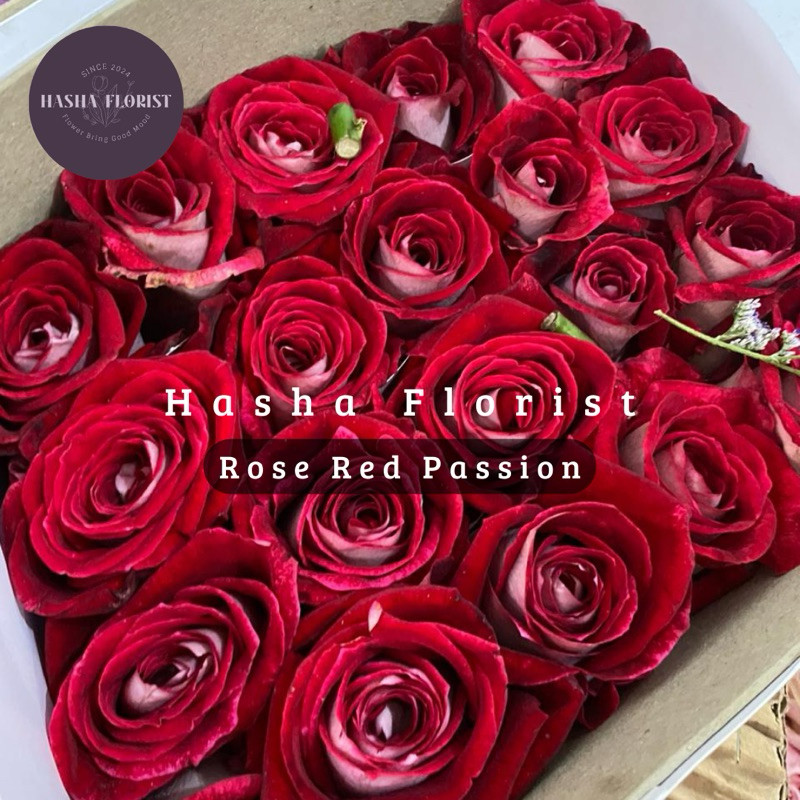Bunga Mawar Bandung / Rose Semi Holland Grade A Fresh 20 TANGKAI ( Bunga Potong Segar Jakarta ) - By