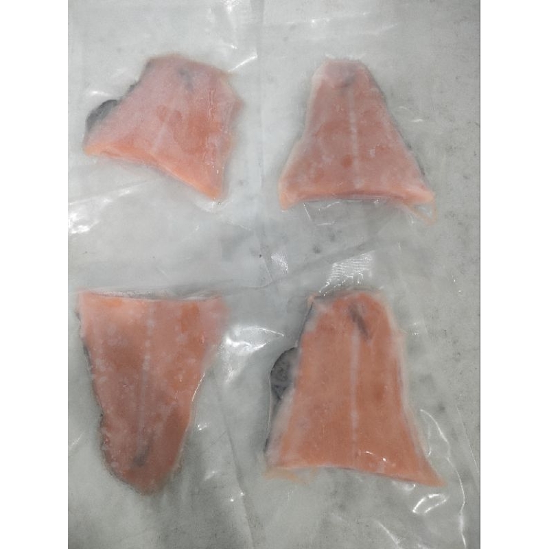 

salmonfillet