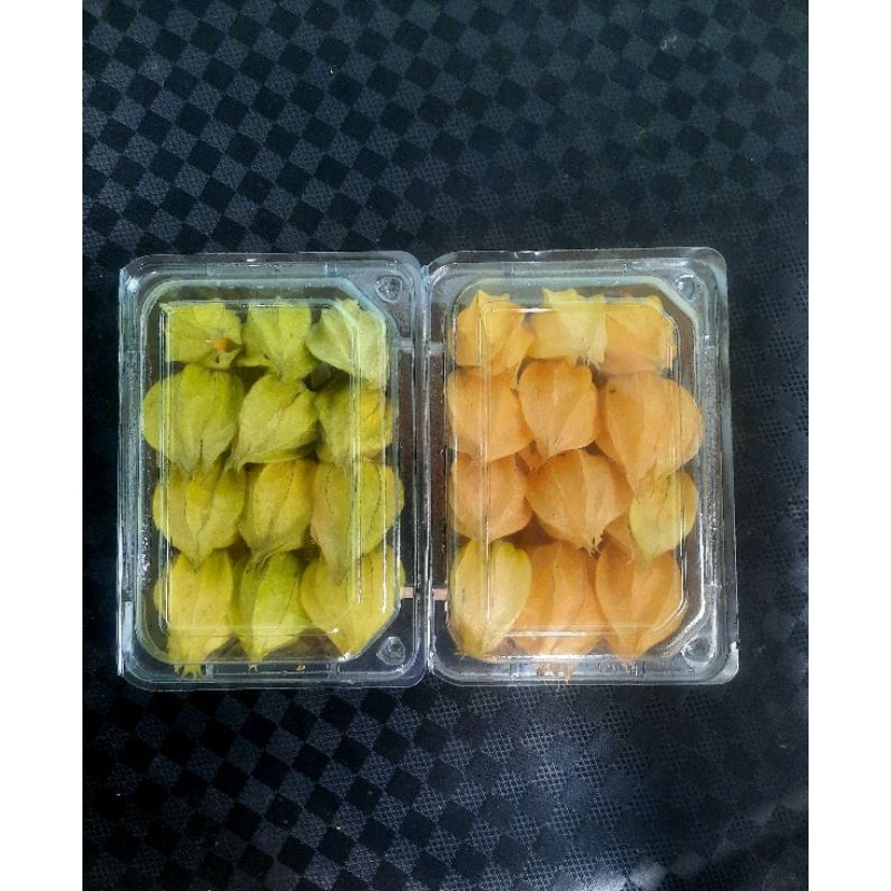 

Buah Ciplukan Fresh 100 gram - Cecendet - Goldenberry