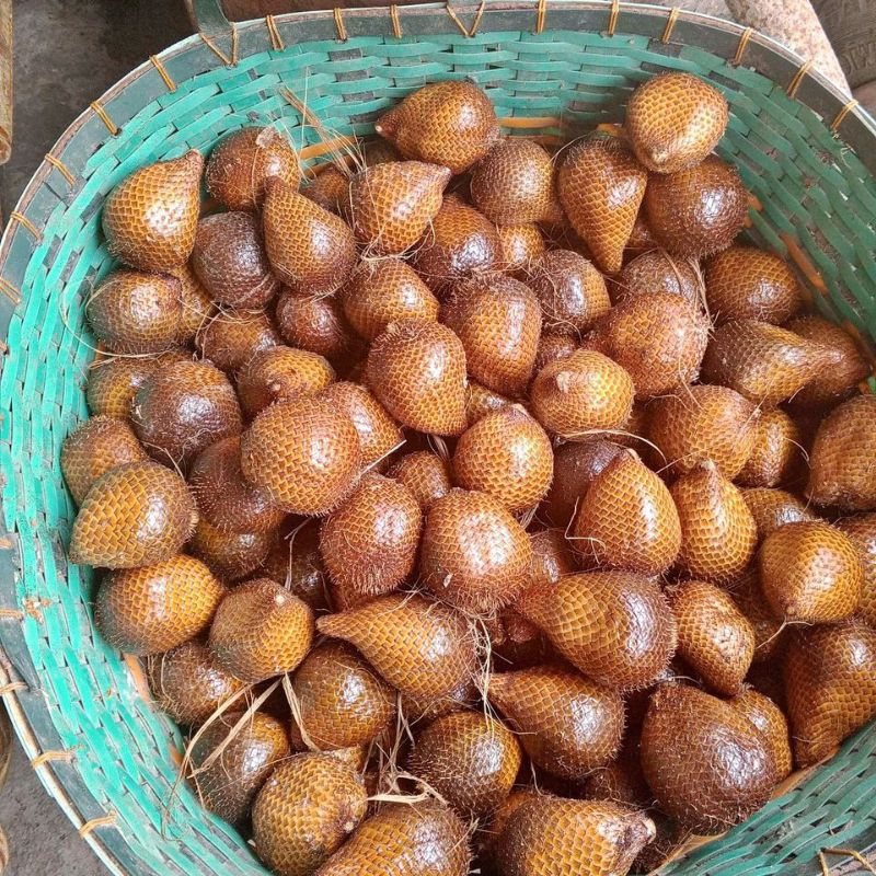 

buah salak madu manisnya mantep dagingya tebel