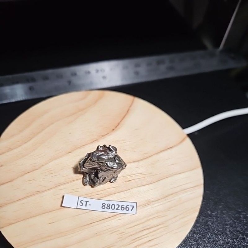 Campo del Cielo Iron Meteorite asli Gran Chaco Gualamba, Argentina