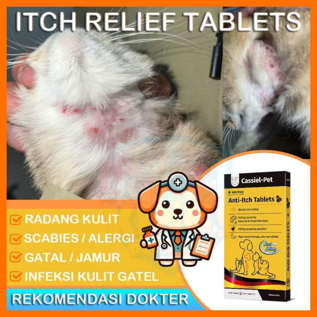 Cassiel Anti Itch/harga per2tablet - Anti Gatal Obat Penyakit Kulit Anti Itch Untuk Mengatasi Gatal 