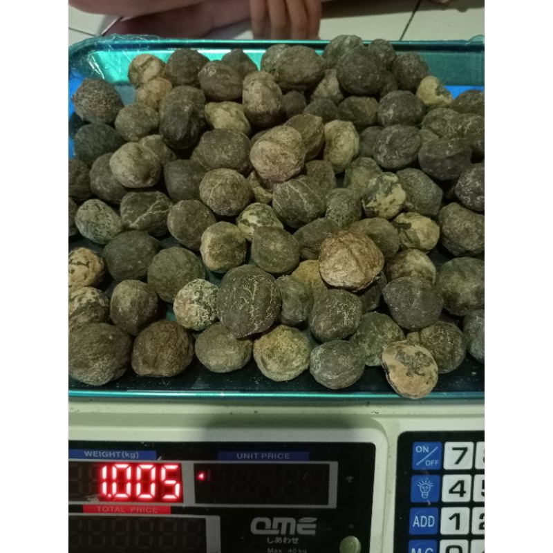 

kemiri batok asli ukuran 1 kg