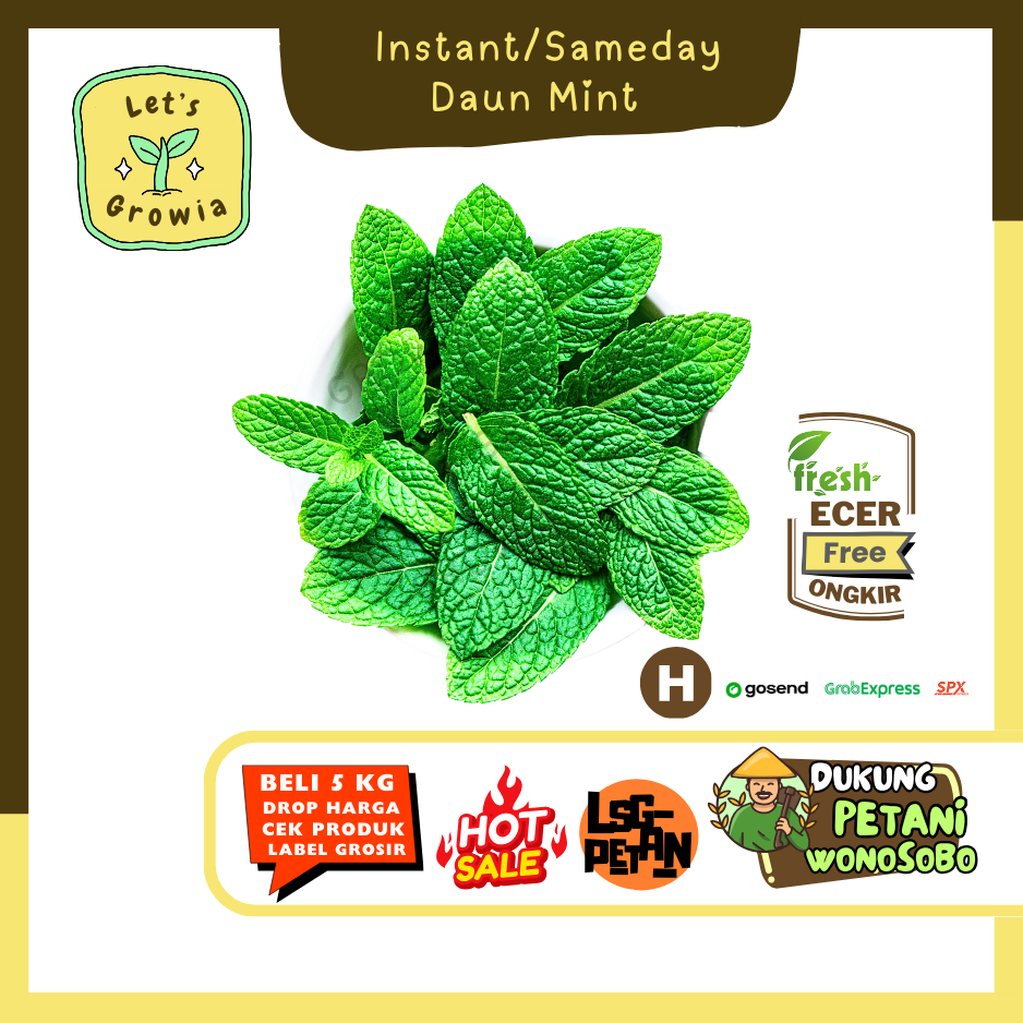 

Growia || Daun Mint -- Hasil Petani Langsung Ecer Sayur Gunung (H)