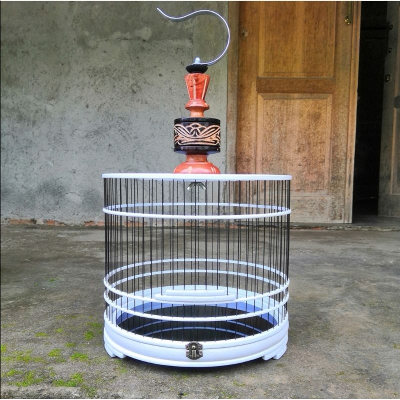 Sangkar Cungkok Toples PVC d26cm ruji fiber alas akrilik