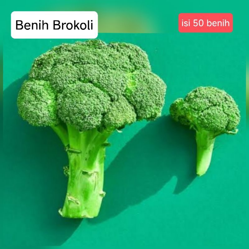 

Benih Sayur Brokoli Unggul (50 benih)