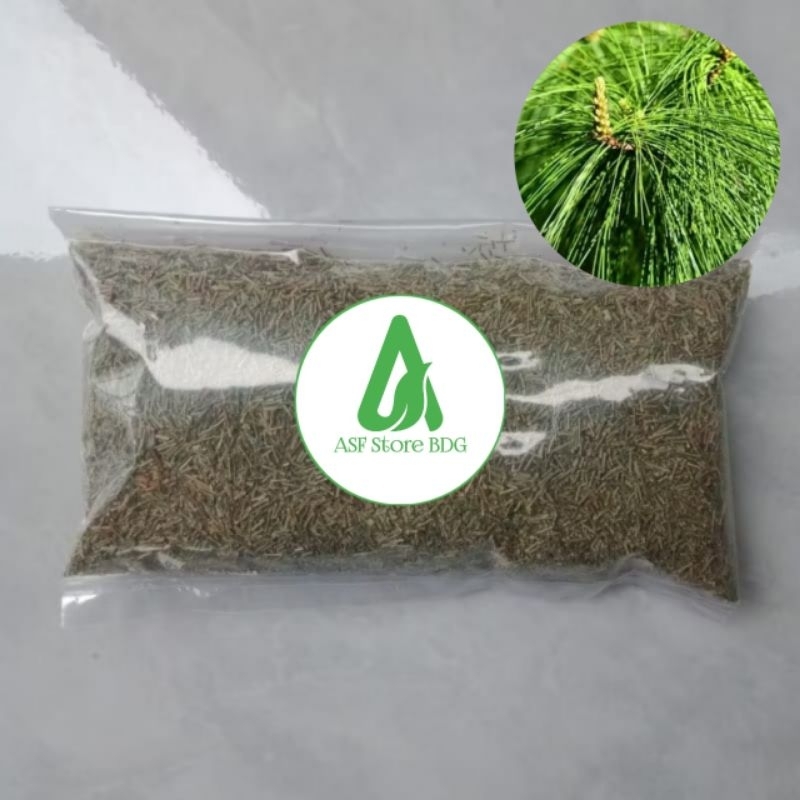 

Teh Daun Pinus Bubuk Asli Kering Per 100 Gram
