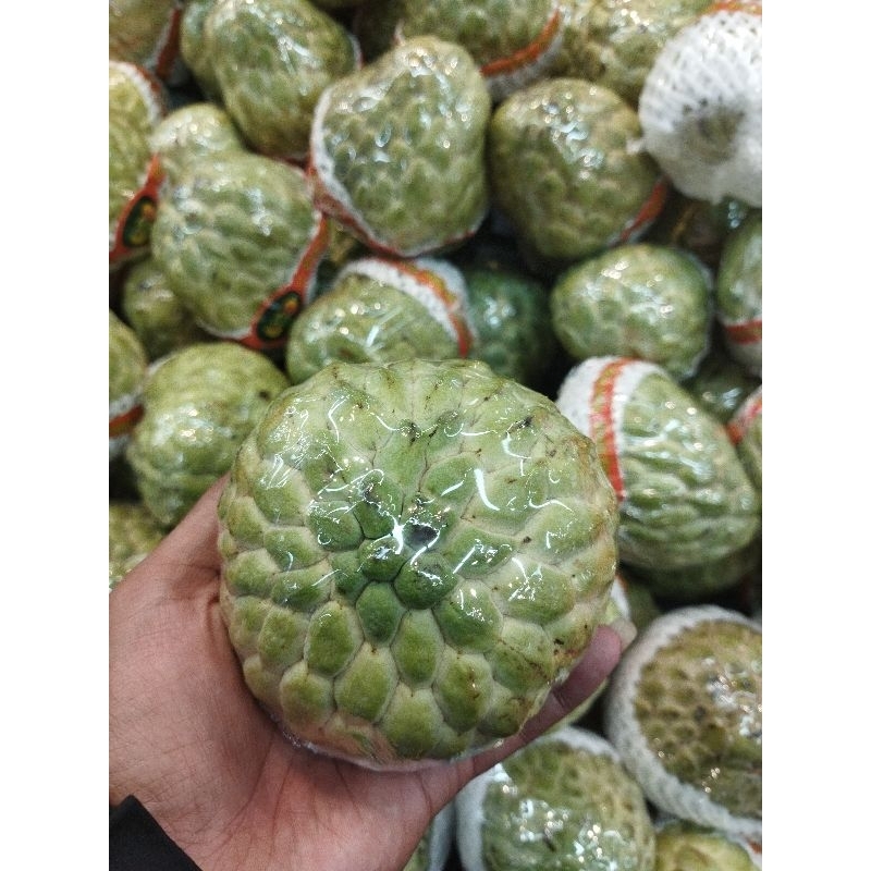 

Srikaya jumbo | Srikaya jumbo lokal 1kg