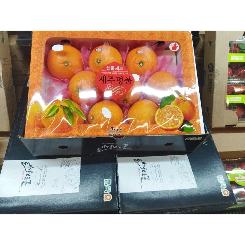 

JERUK DEKOPON JEJU GIFT BOX