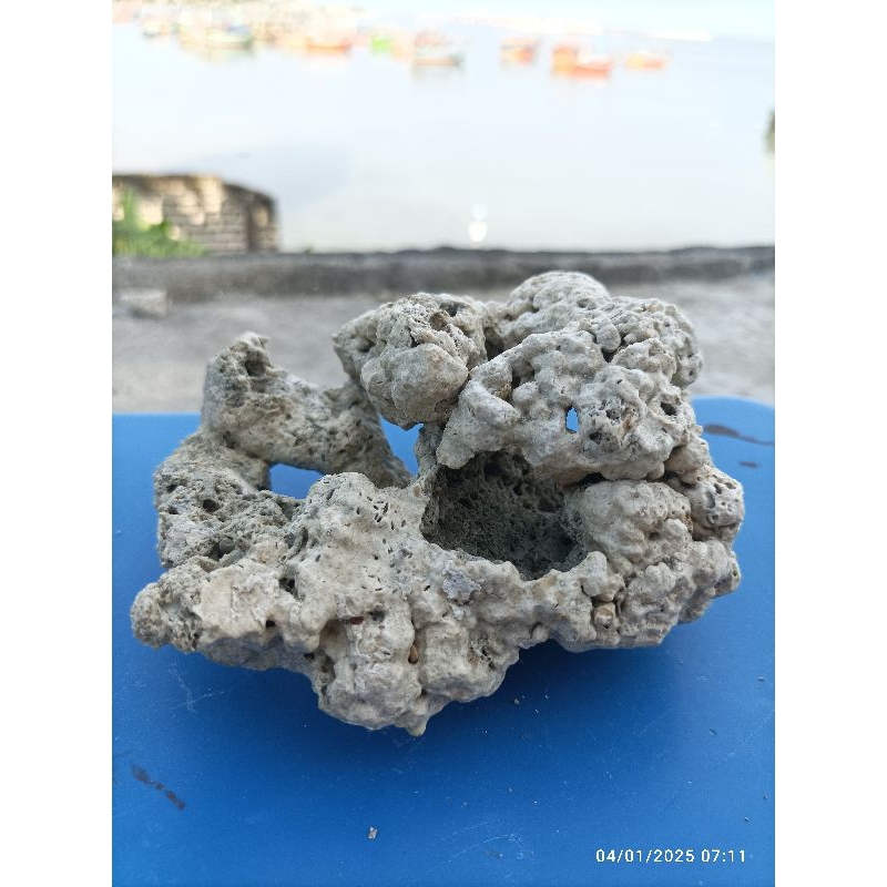 Batu karang bolong aquarium laut dan tawar batu berpori berlubang