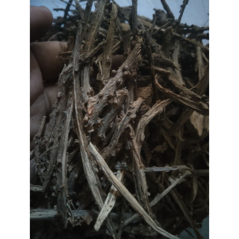 

Herbal Butrowali, bratawali, akar ali-ali, brotowali 100 gr