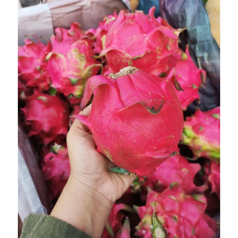

NAGA MERAH