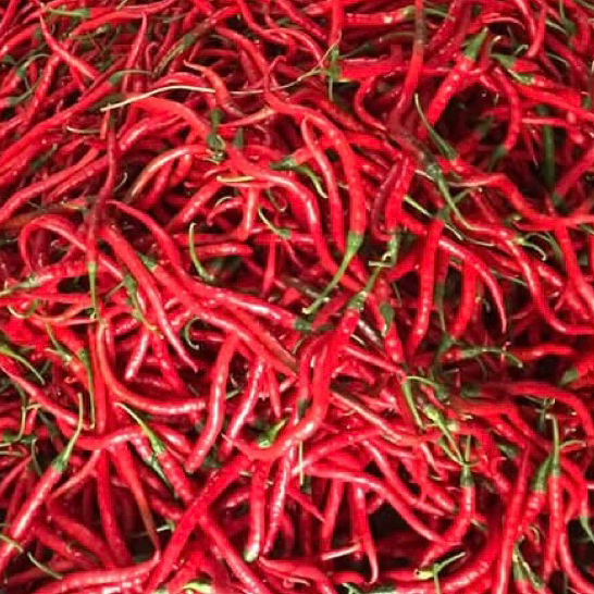 

Cabe Merah Keriting Segar Berat 1kg
