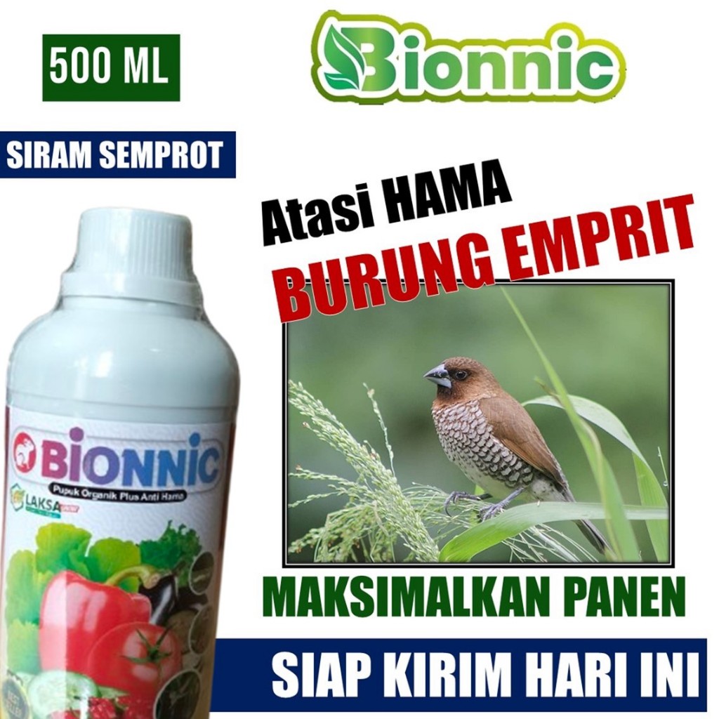 BIONNIC Racun Pembasmi Hama Burung Pipit/Piyik/Emprit Sawah - Pestisida Pengendali Hama Burung Pipit