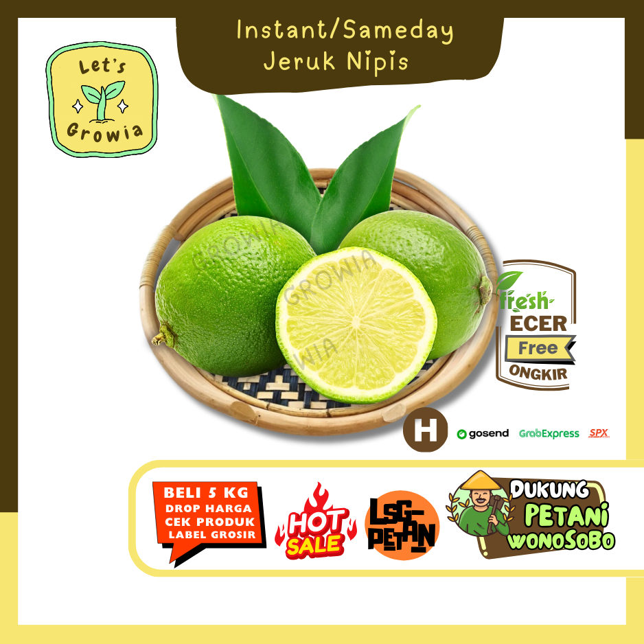 

Growia || Jeruk Nipis -- Hasil Petani Langsung Ecer(H)