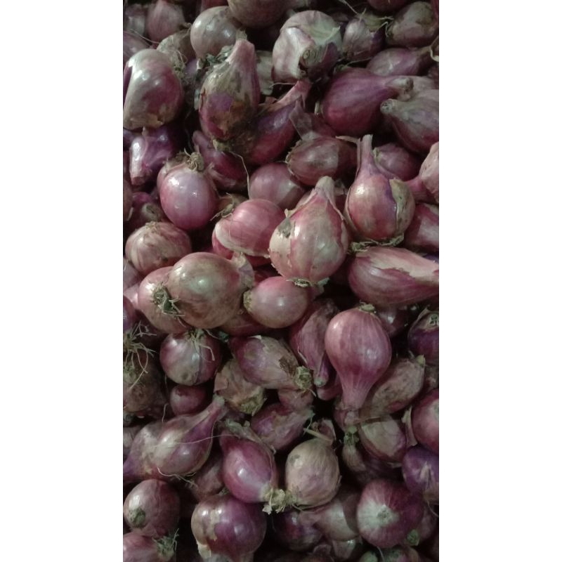 

bawang merah tanggung besar 500gr