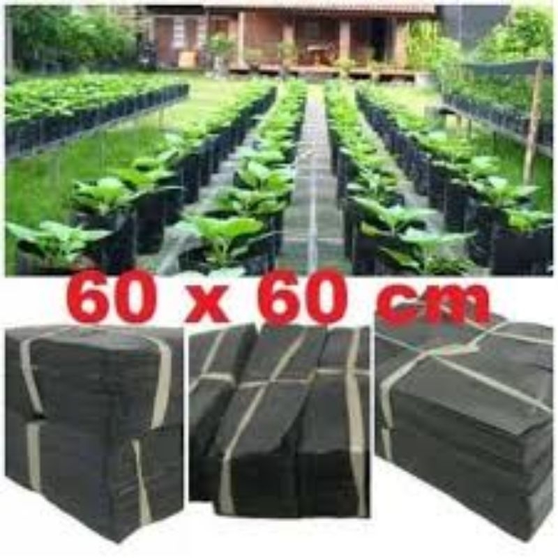 polybag untuk tanaman ukuran 60x60 cm berat 1kg/polybag untuk tanaman