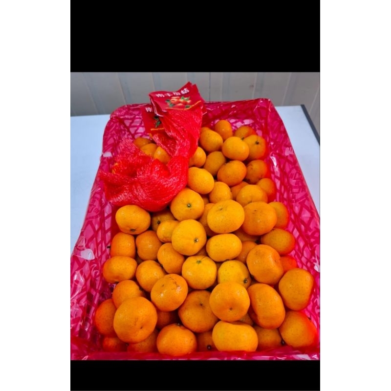 

jeruk shantang madu,shantang botak,shantang daun n shantang tangerine keranjang