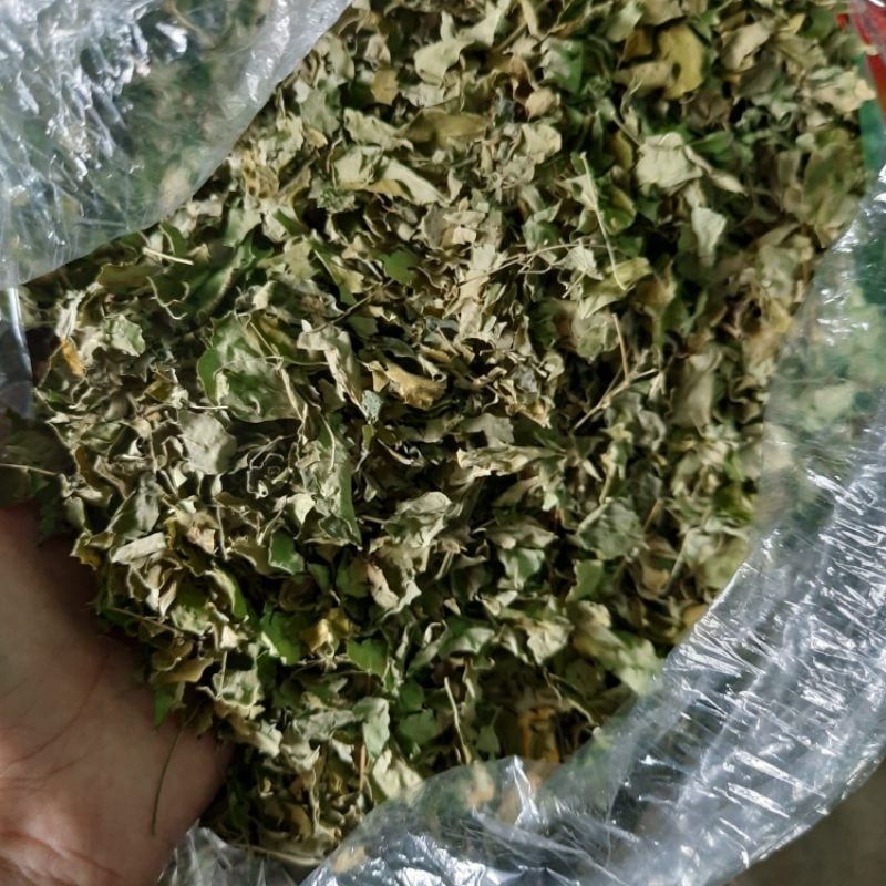 

Daun Kelor Premium Hijau 500 gram