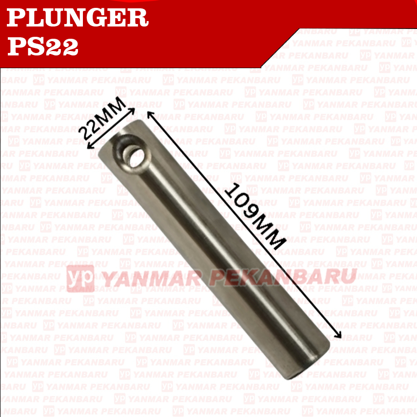 PS22 PS20 Piston Plunger Power Sprayer Sanchin China PS 20 PS 22