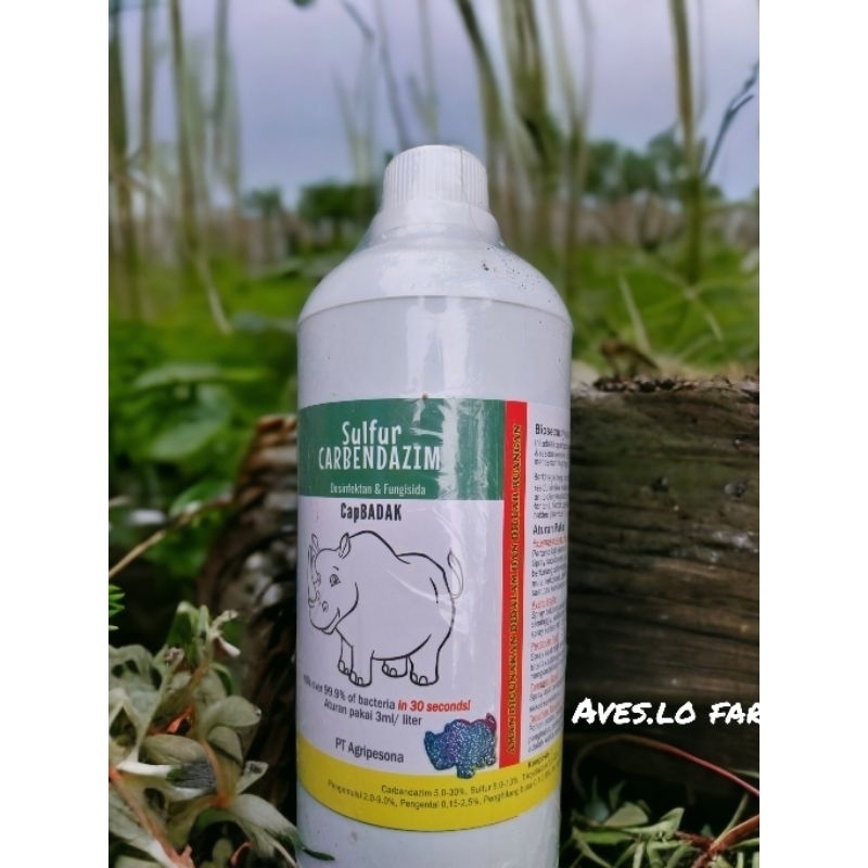 Desinfektan + Fungisida CapBADAK Original 1liter