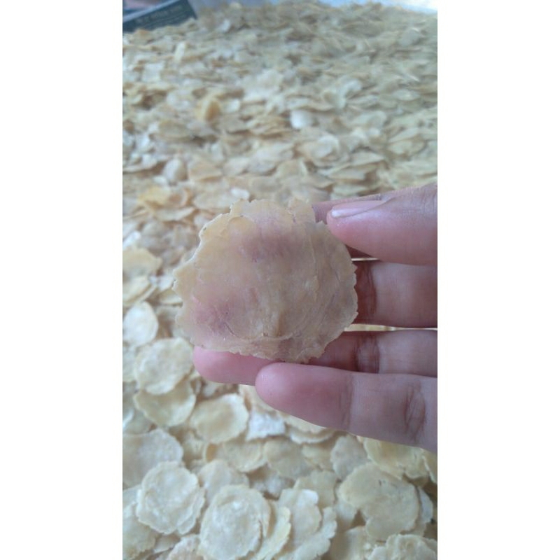 

EMPING MELINJO MENTAH 1 KG