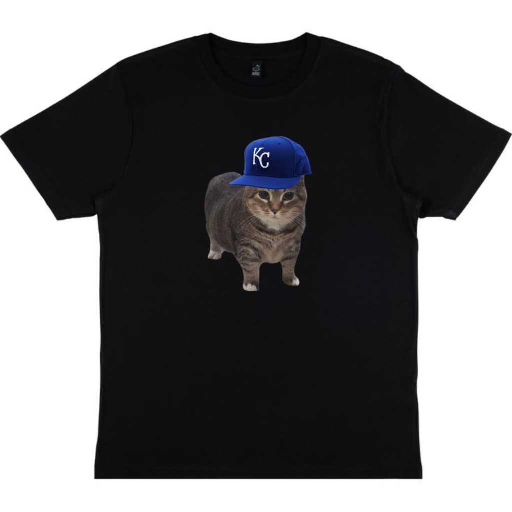 Kaos KUCING 24s/Kaos Meme CAT BRAIN ROT 24s/Kaos VIRALLL 24s