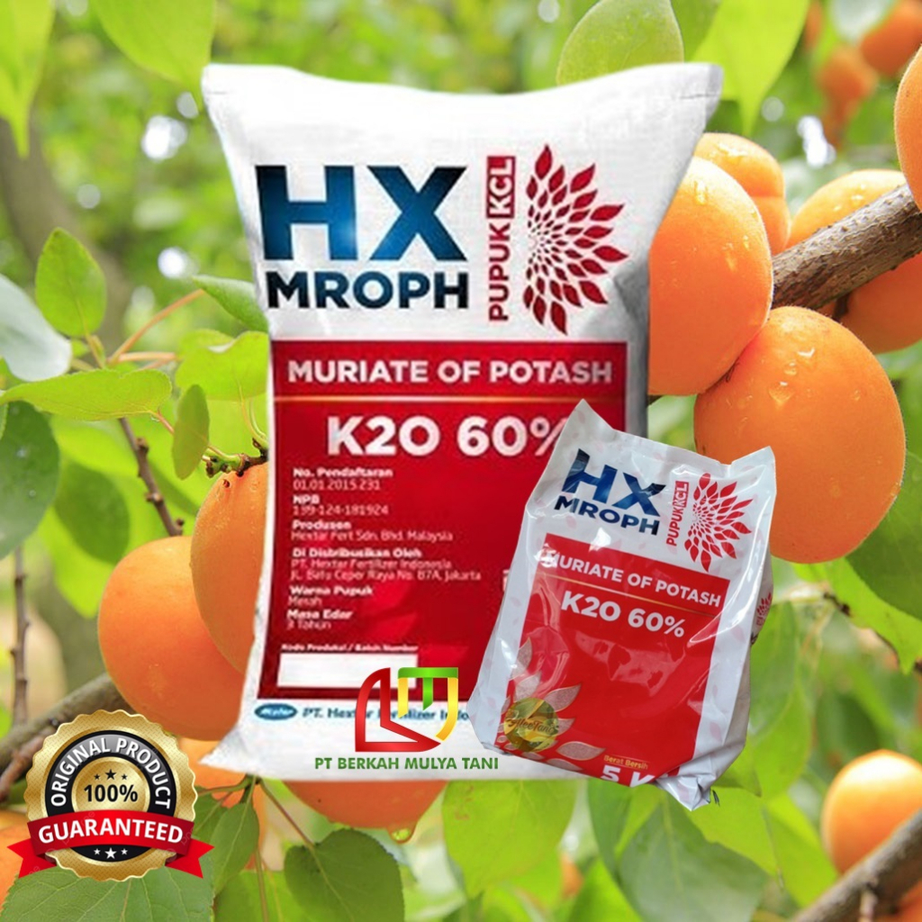 Pupuk KCL HX Mroph K20 60% - 5 KG