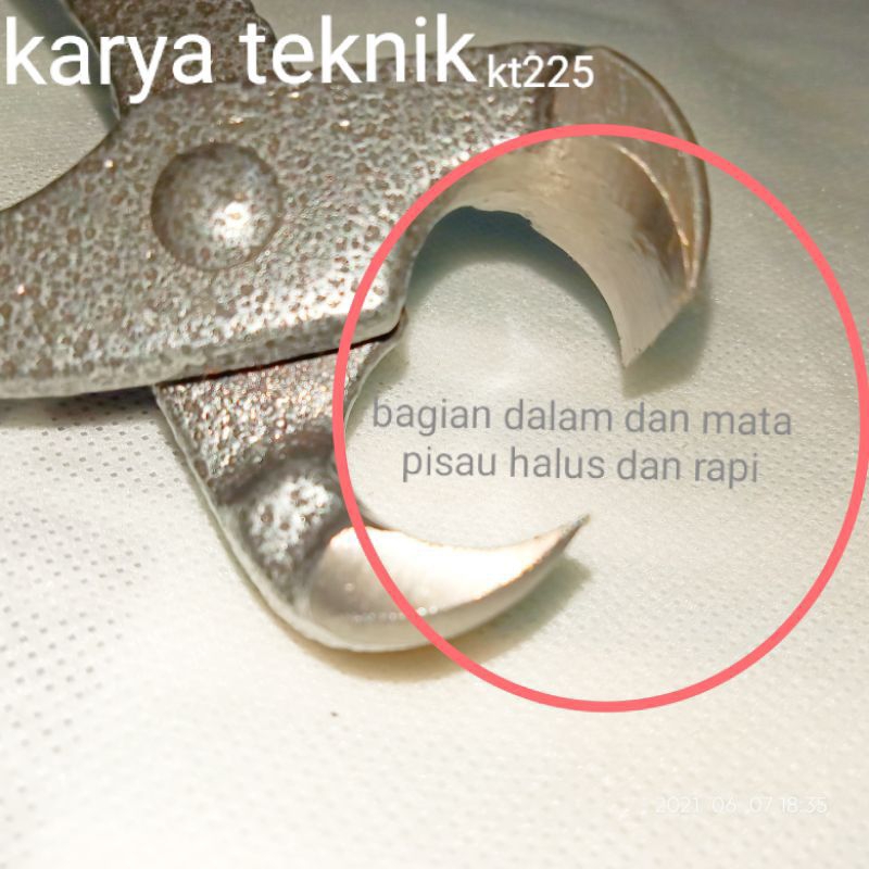 catut  bonsai kt225