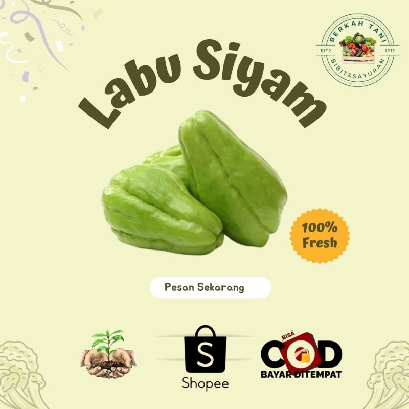

BERKAH_TANI Labu Siyam Lereng Lawu