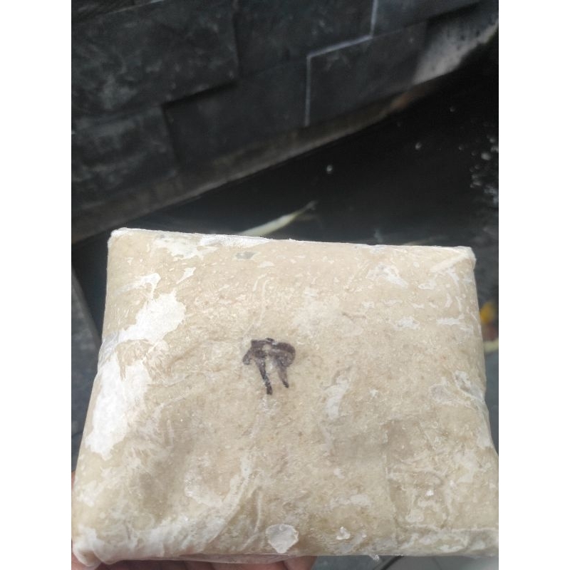 

Tenggiri Papan 1 Kg