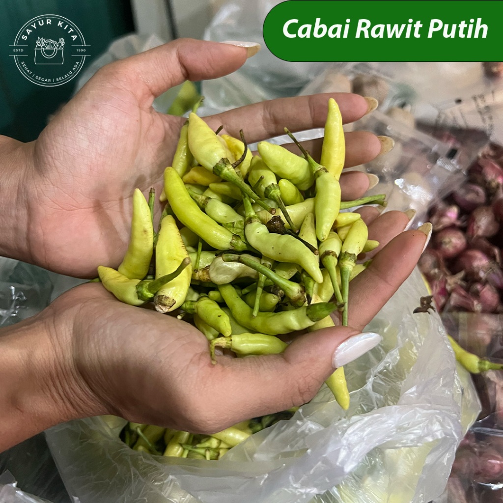

Cabai Rawit Putih | sayurkita_id