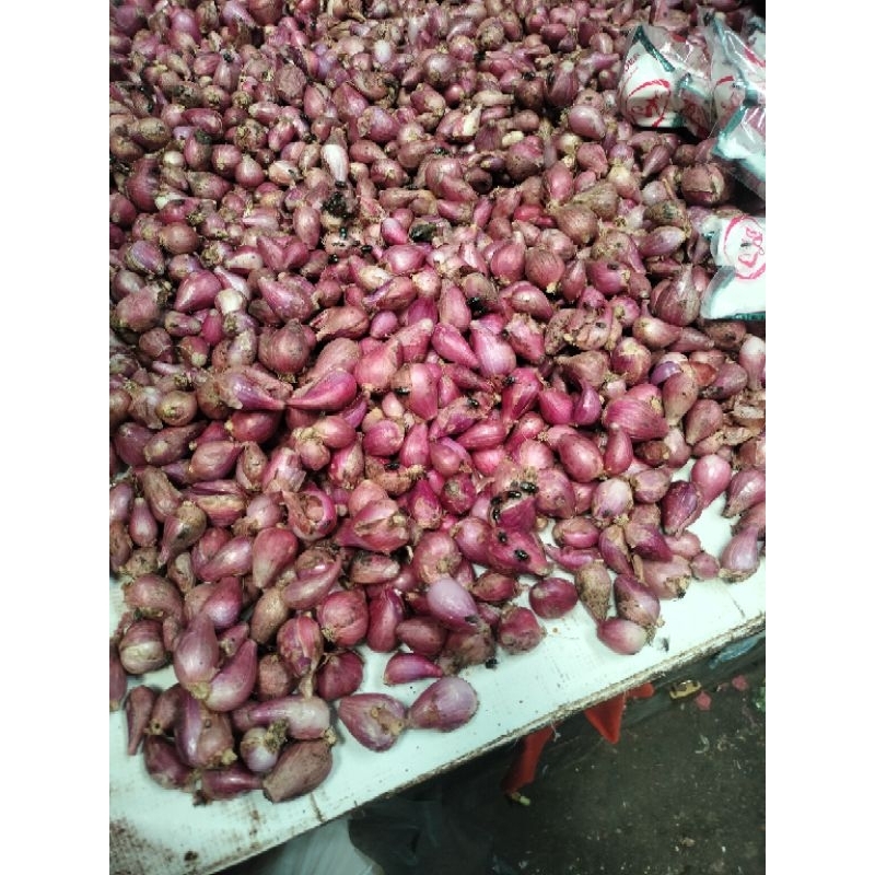 

BAWANG MERAH LOKAL PANEN MURAH PER KG
