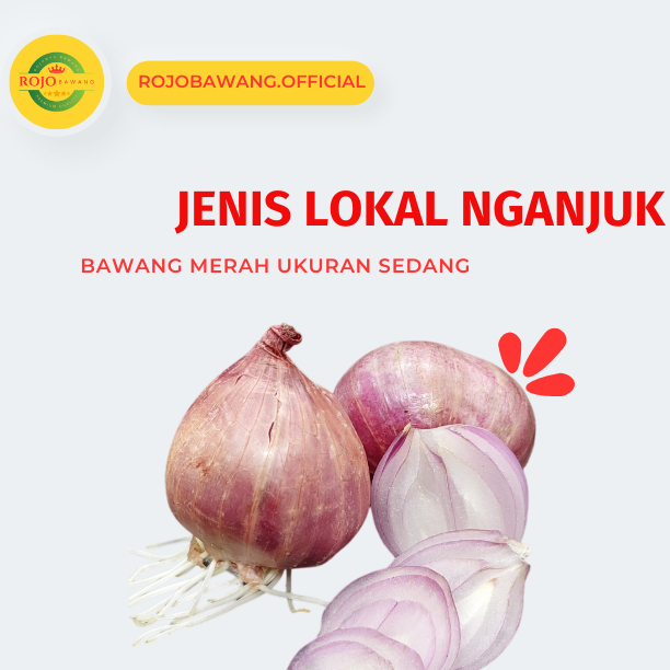 

BAWANG MERAH LOKAL NGANJUK SEDANG 1KG KERING