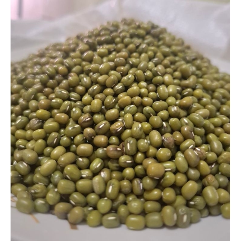 

Kacang Hijau IMPORT kualitas terbaik 100 % murni
