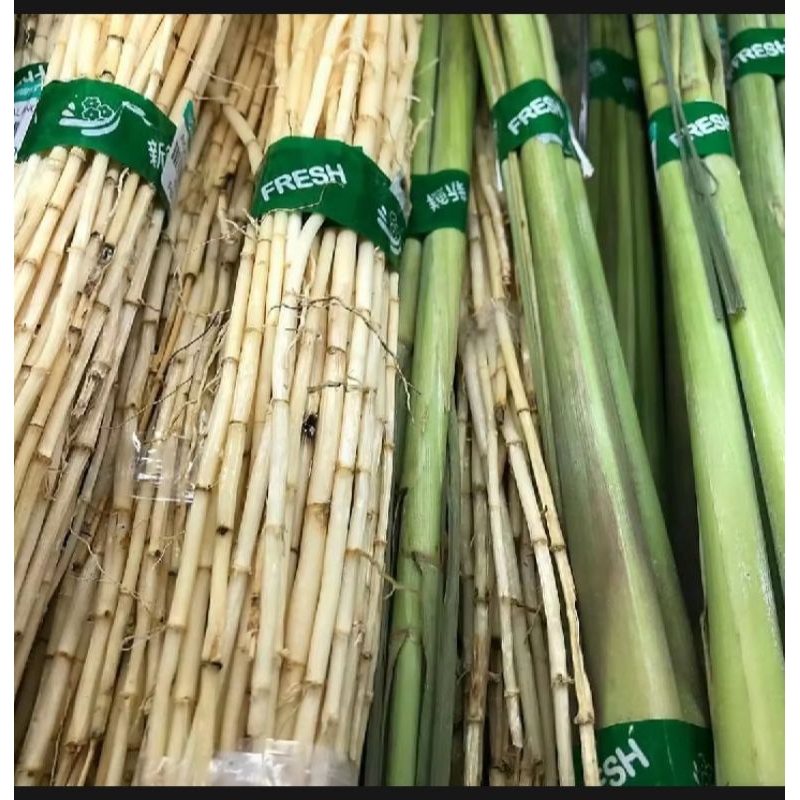 

akar alang-alang 500g alami berkhasiat untuk berbagai macam penyakit tanpa efek samping