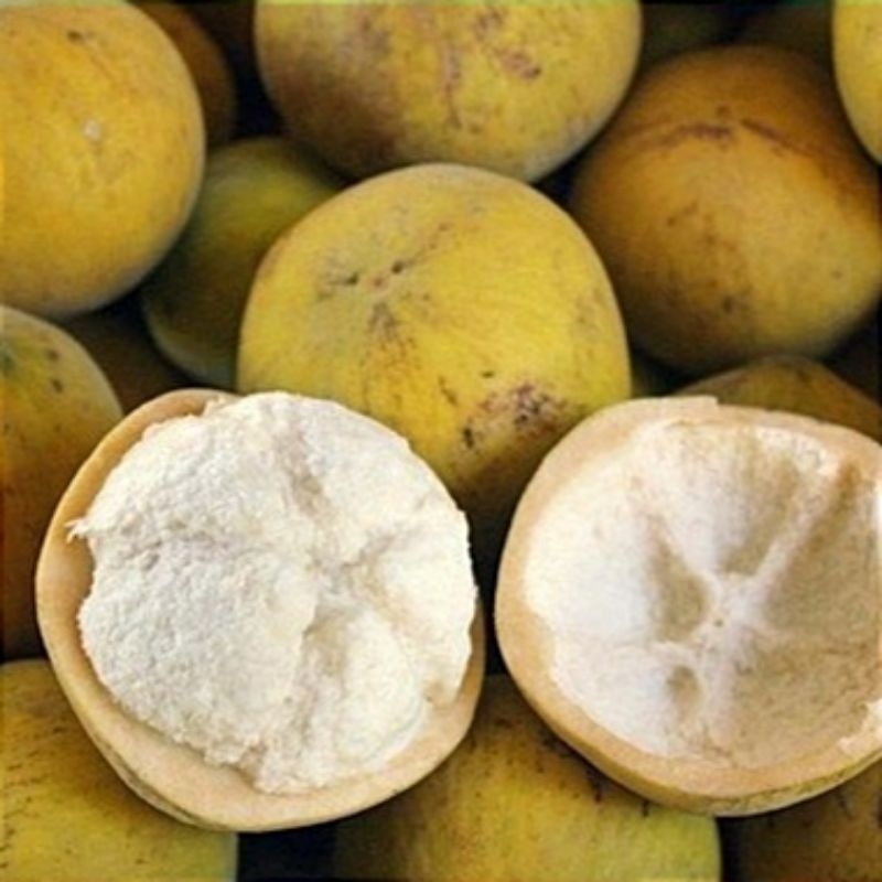 BUAH KECAPI BUAH TRADISIONAL BUAH SEGAR BUAH ASEM MANIS /500gr