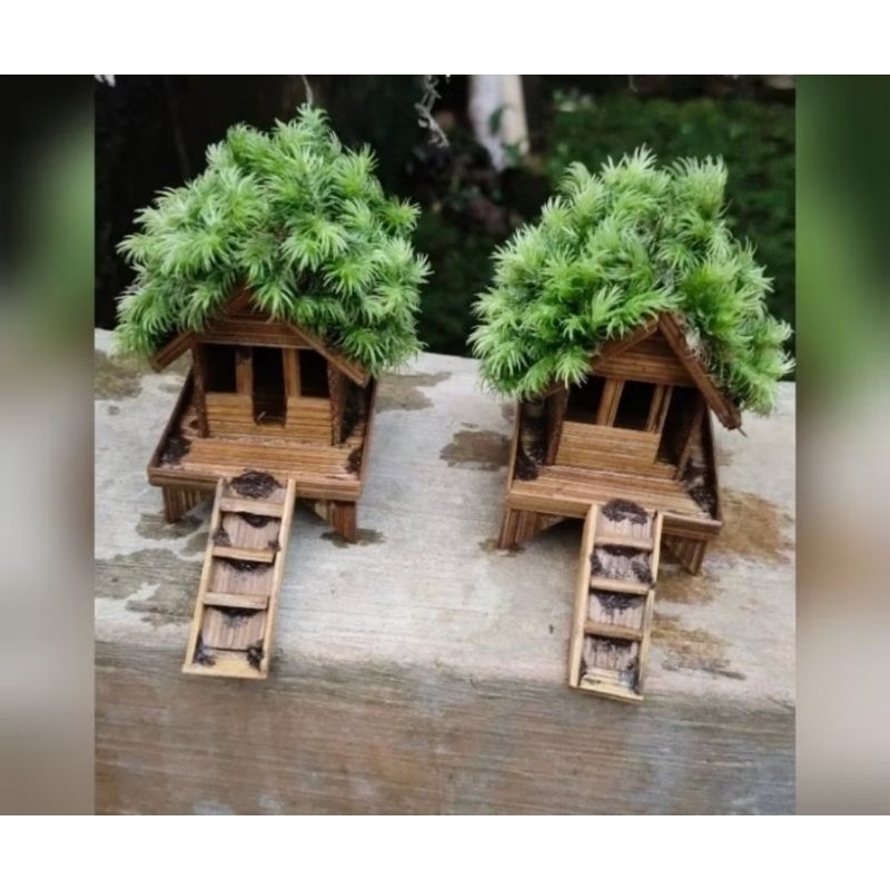 miniatur rumah + moss aquascape