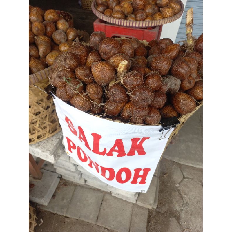 

MURAH!! Salak Pondoh 1 Kg BESAR, FRESH, MANIS dipetik langsung dari pohon