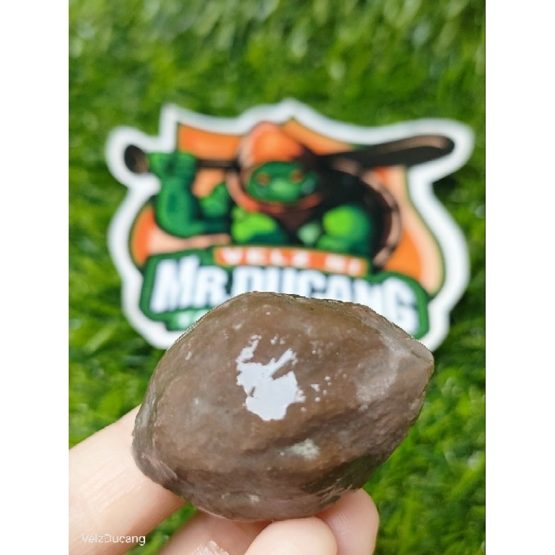 MUNCANG ADU JAWA MANTILI CADAS