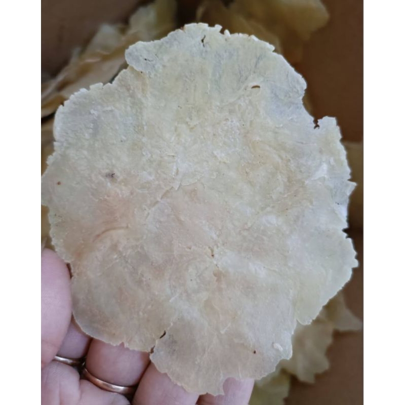 

EMPING BESAR LEBAR MENTAH KHAS BANTEN 1KG