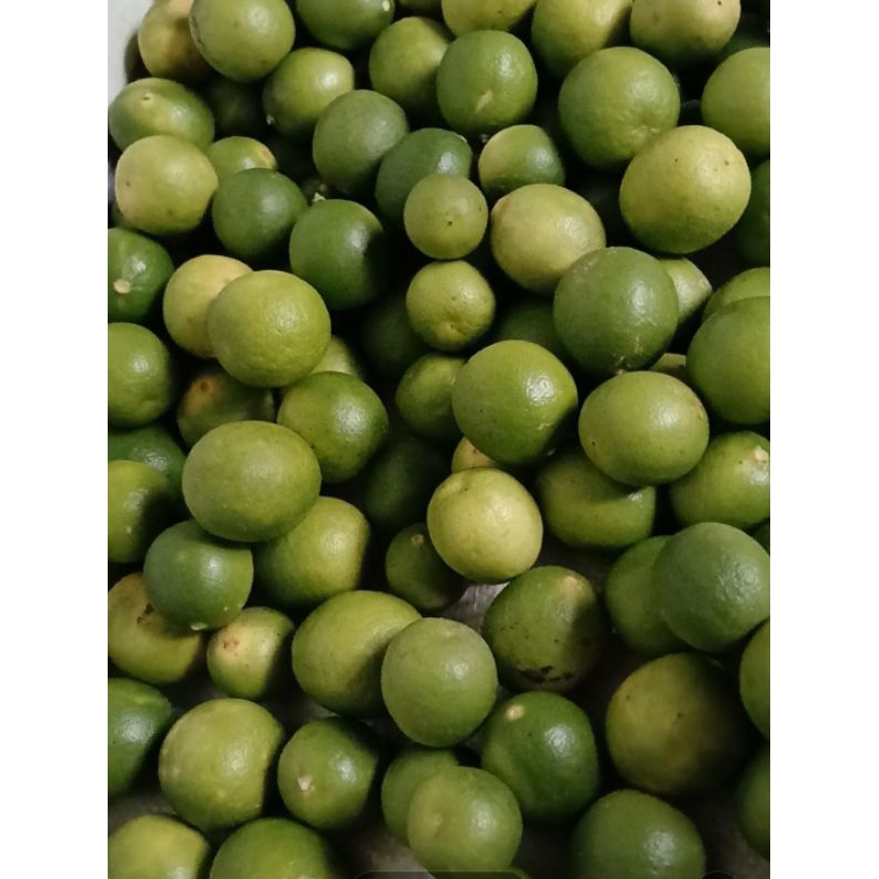 

jeruknipis