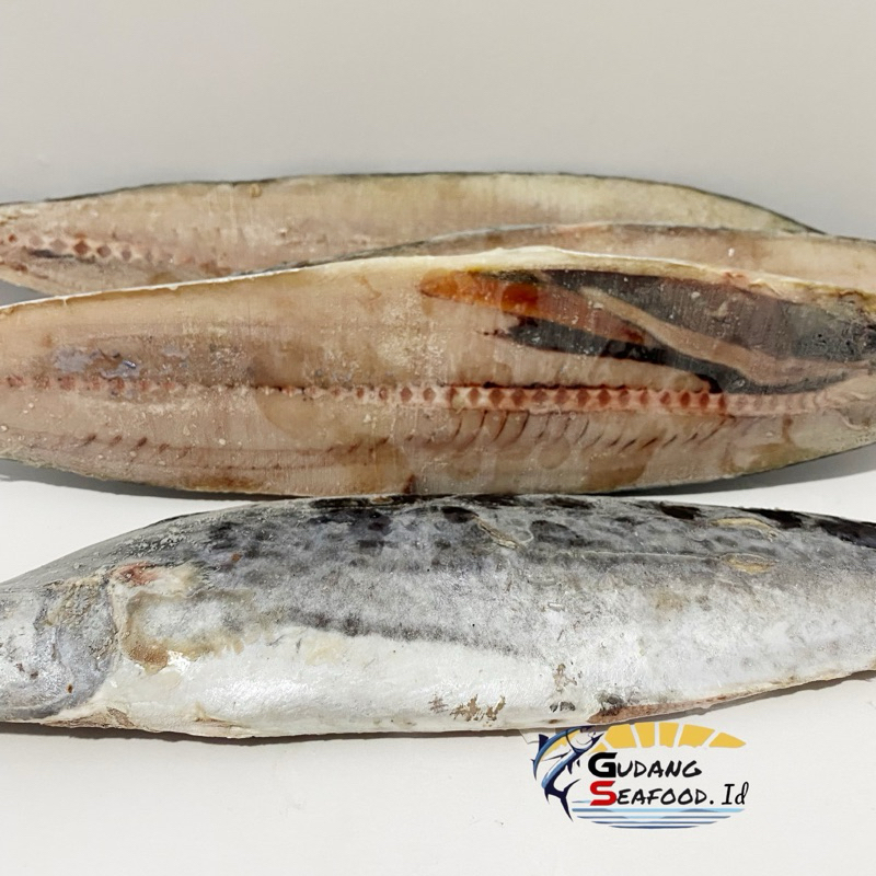 

Daging Ikan Tenggiri Kerok
