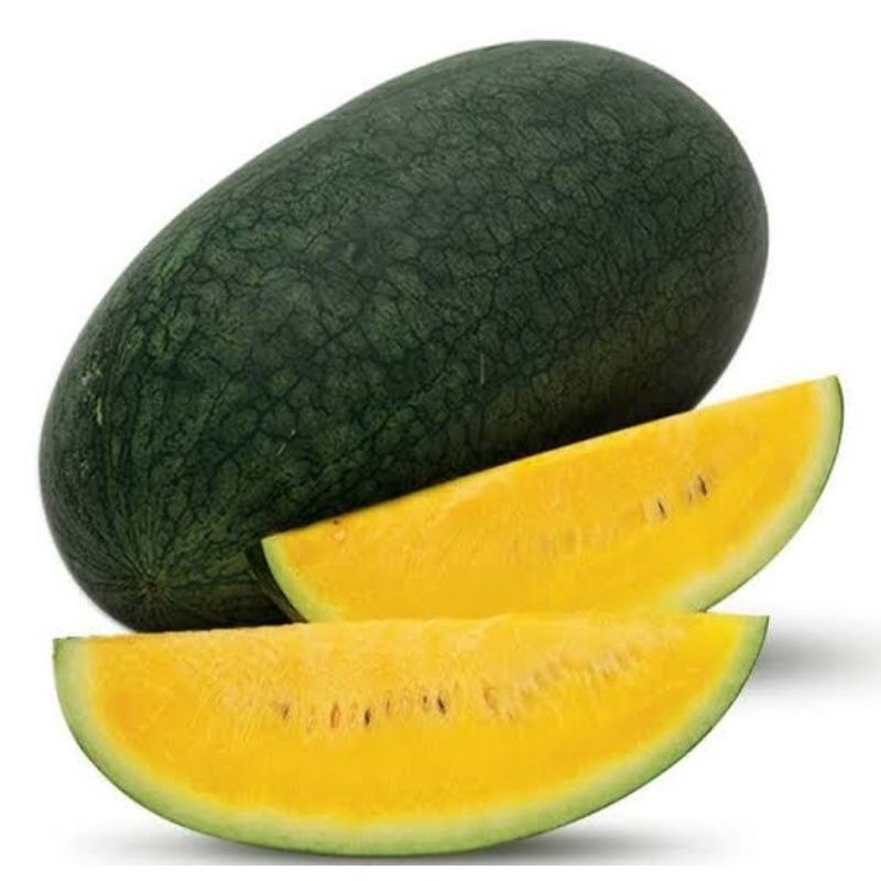 BENIH SEMANGKA KUNING LONJONG TANPA BIJI 50BIJI ECER