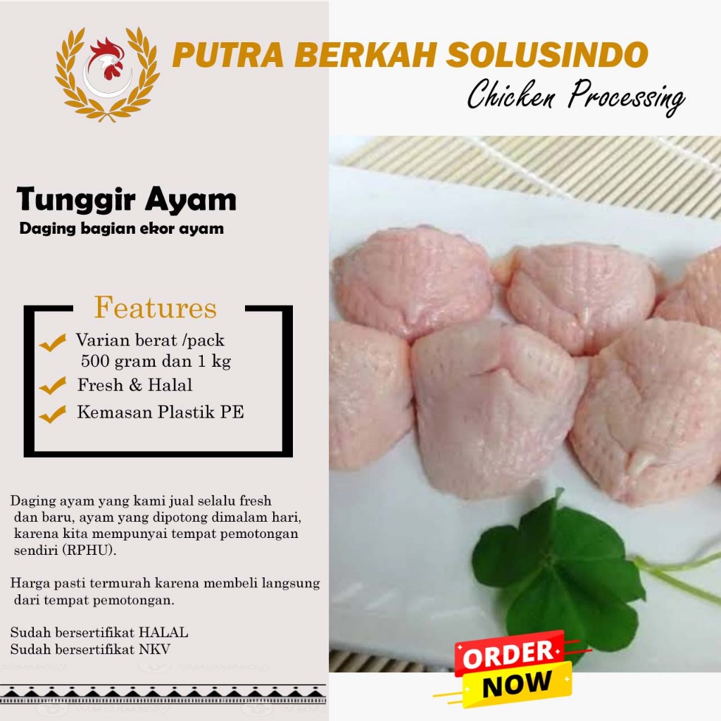 

Tunggir Ayam Fresh Murah