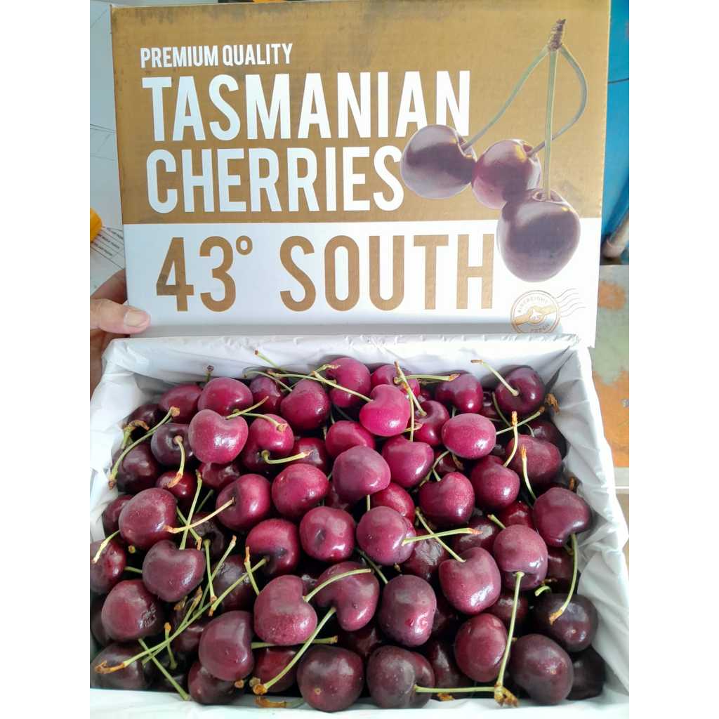 

Cherry Tasmania 43 Derajat (BOX)